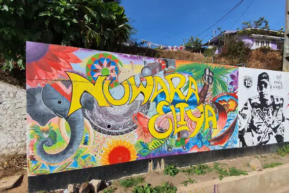 Nuwara Eliya – home of tea plantations Sri Lanka.