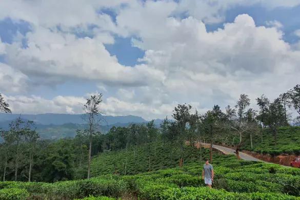 Sri Lanka: Ella – Everything you should do