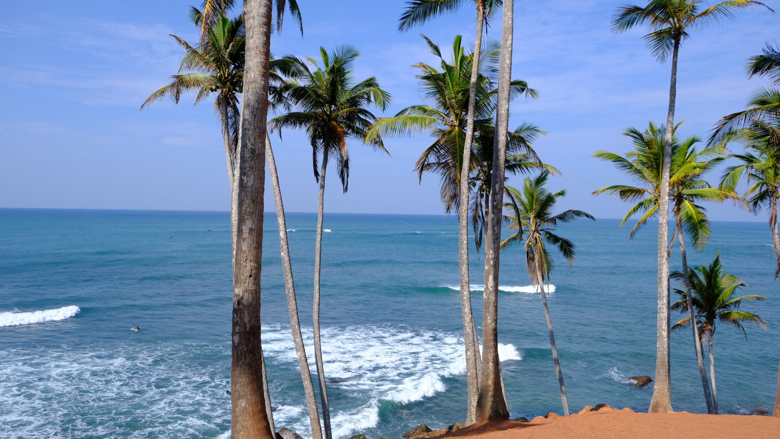 coconut tree hill sri lanka