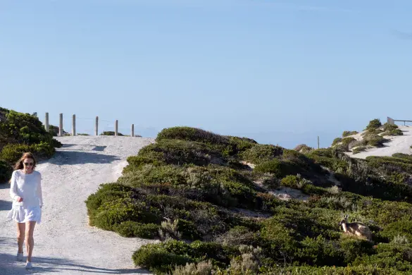 Australia Travel Guide