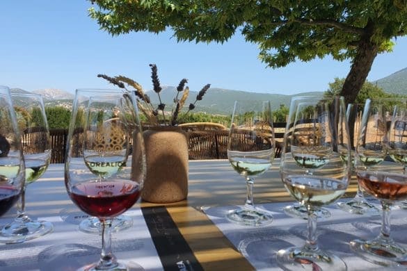 Wine Tasting on Kefalonia – Orealios Gaea – Vine Growers of Robola