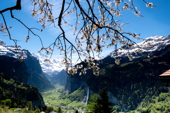 Why you should visit Lauterbrunnen Valley in 2026