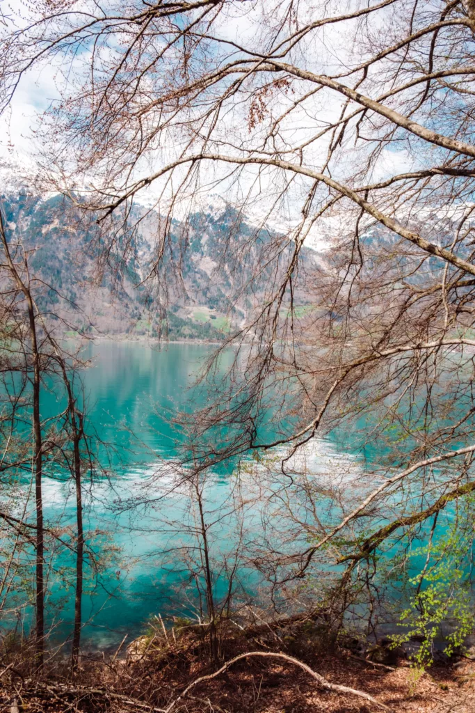 views while hiking Lake Brienz