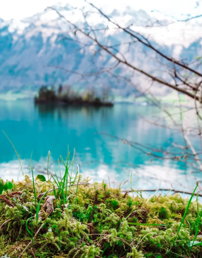 views while hiking Lake Brienz