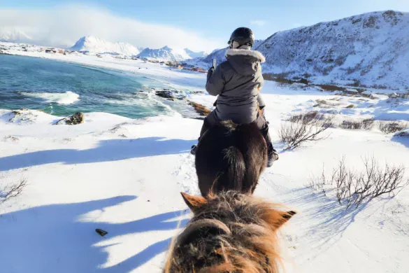 Horse riding is a must do activity in the Lofoten Islands