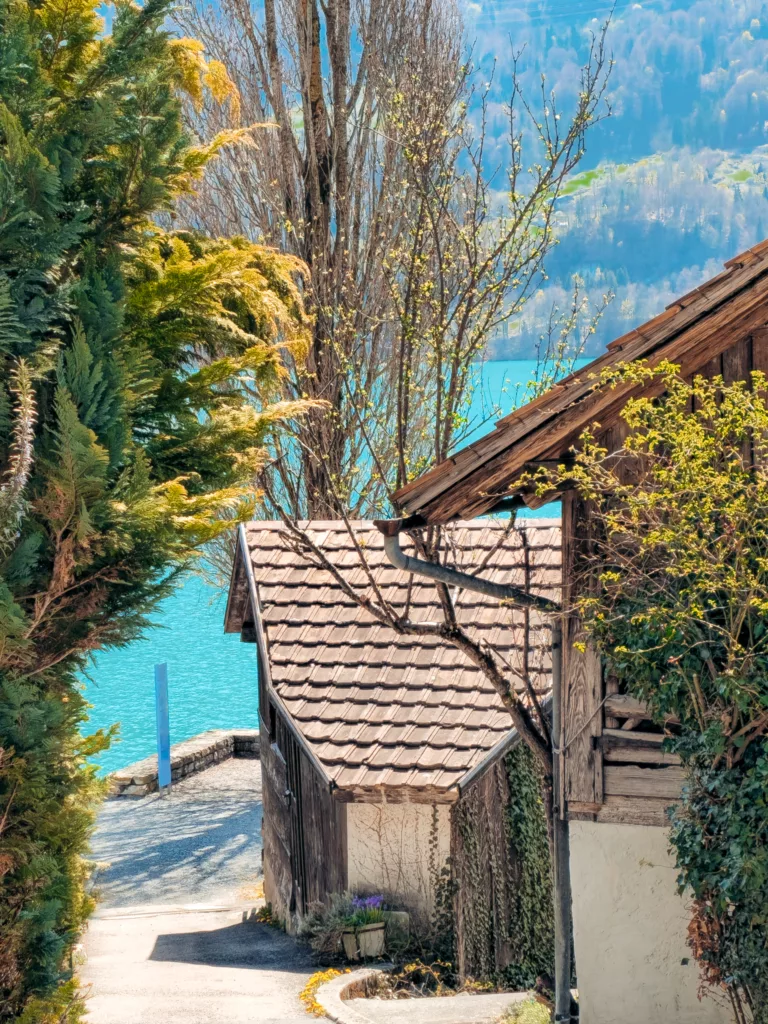  Brienz on Lake Brienz