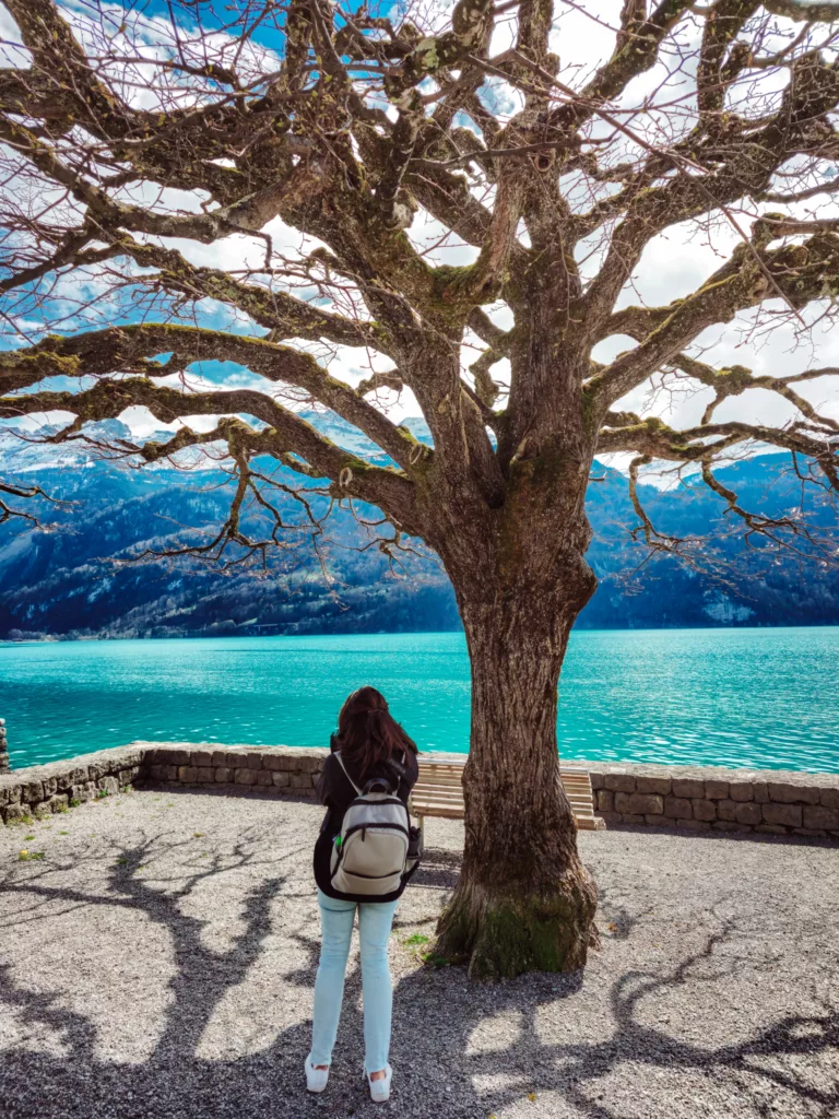 Brienz on Lake Brienz