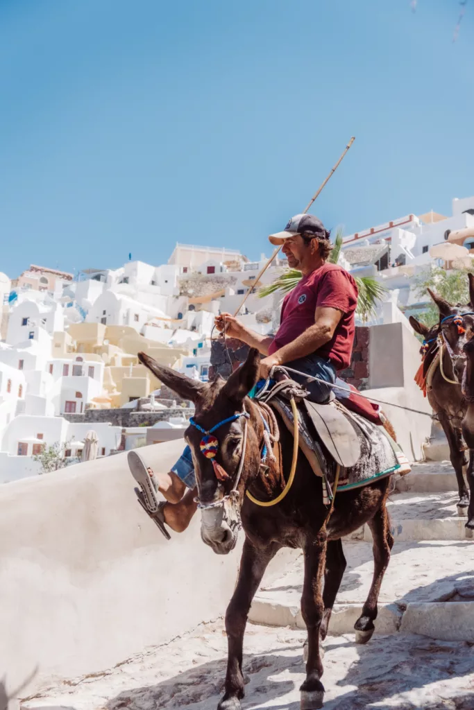 Donkeys going down to Ammoudi Bay Santorini