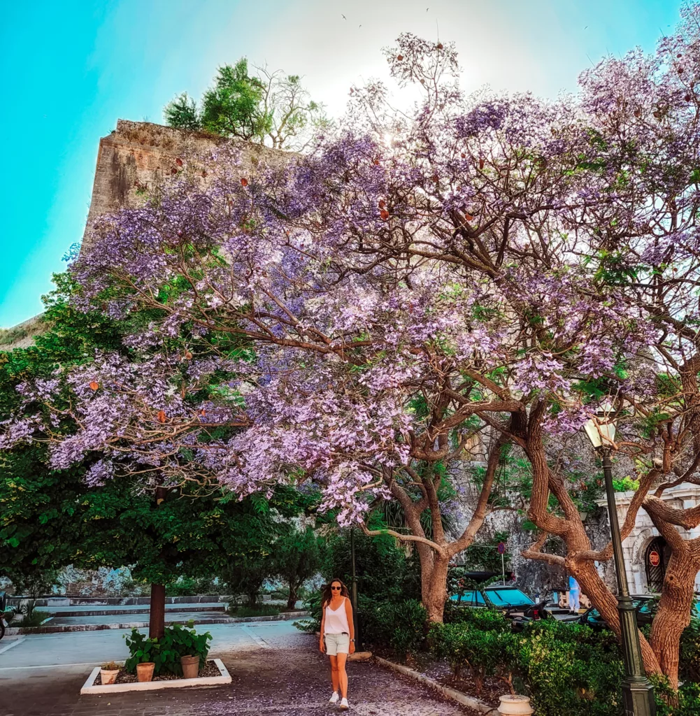 Pretty Corfu town Greece, near the Holocaust Memorial of Corfu