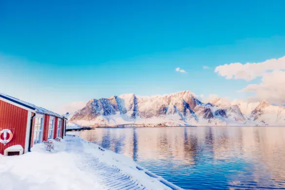 What to do in Reine, Lofoten