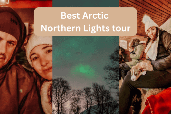 Northern Lights in Norway Tour – Best Arctic Review