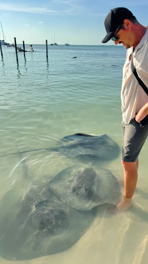 sting rays on Caye Caulker