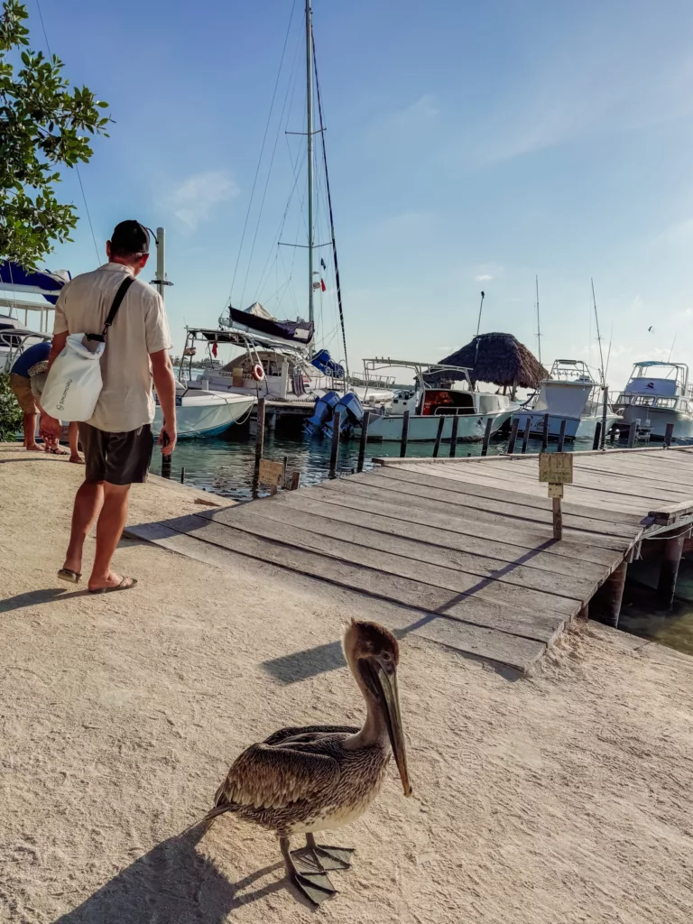 Mike heading to our sunset spot in Caye Caulker