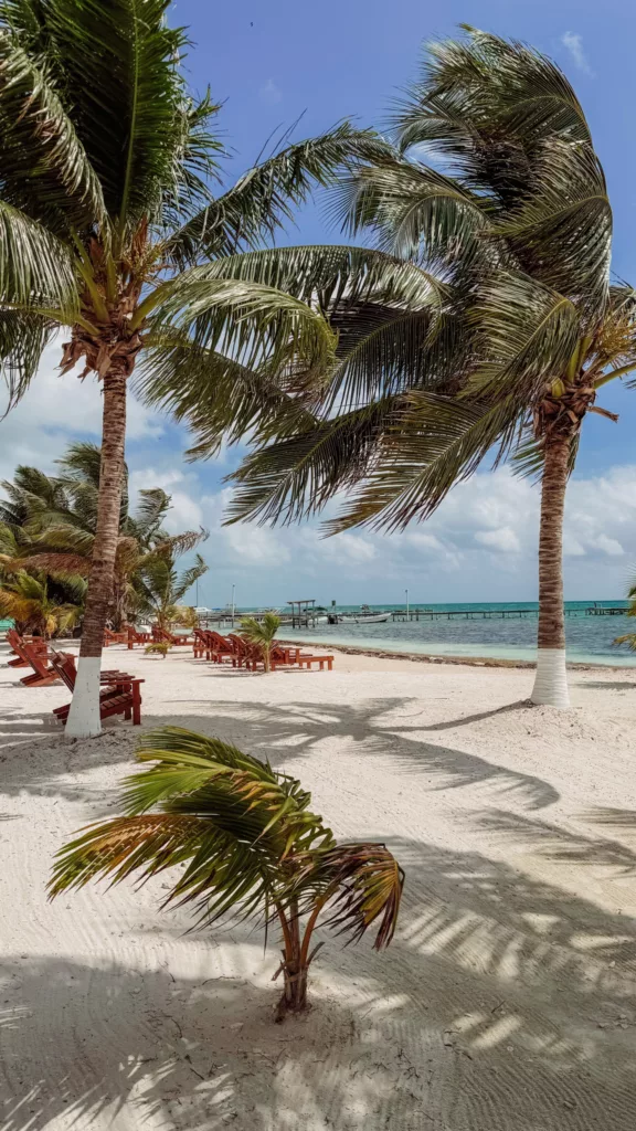 Caye Caulker