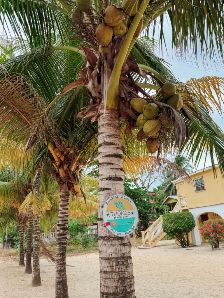 cute shacks in Hopkins Belize