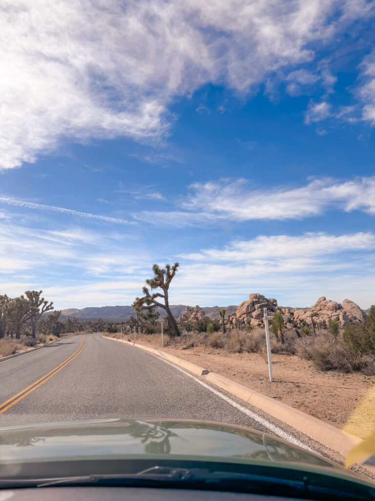 best hikes Joshua Tree National Park