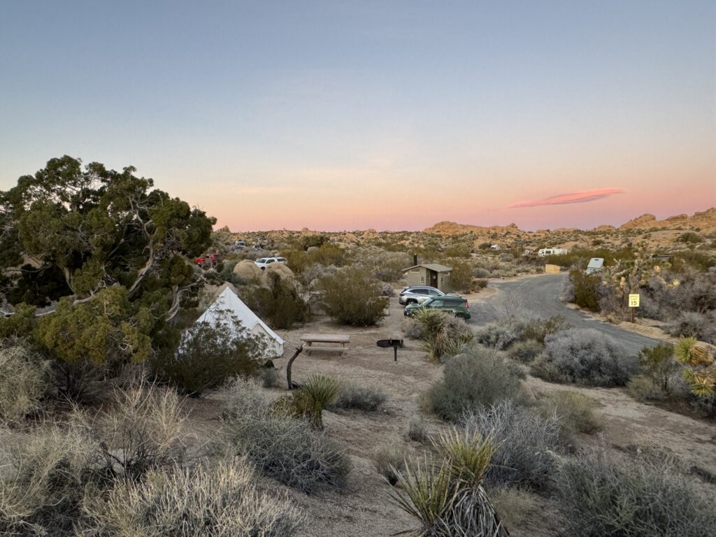 sunset over Joshua Tree national park