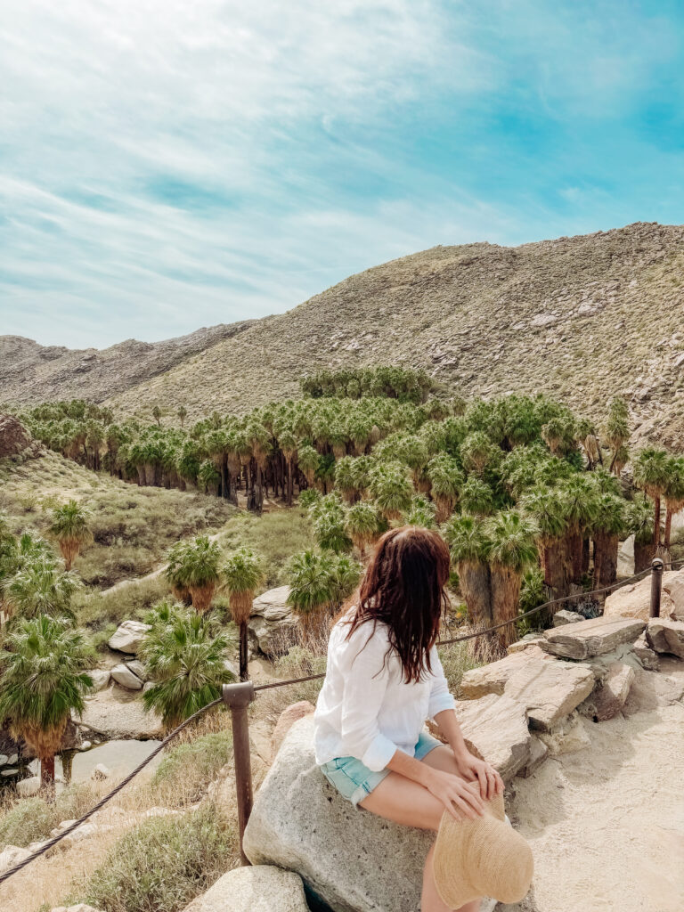 Palm Canyons Hiking Trails in Palm Springs