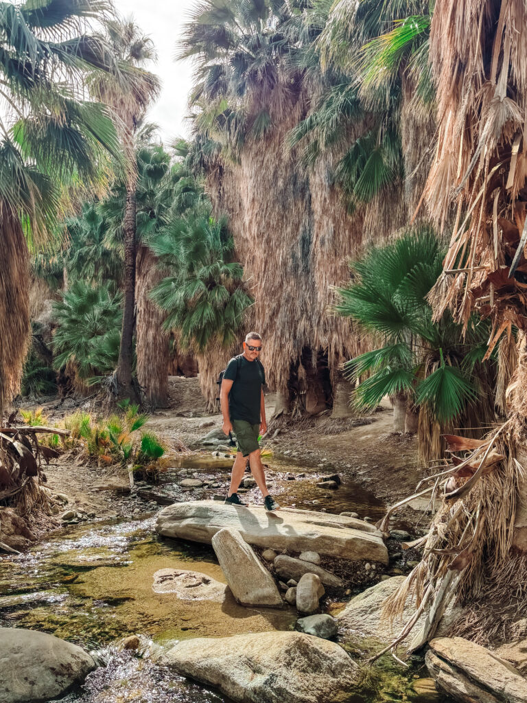 Palm Canyons Hiking Trails in Palm Springs