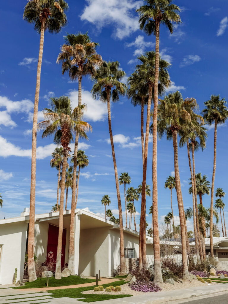 door Palm Springs