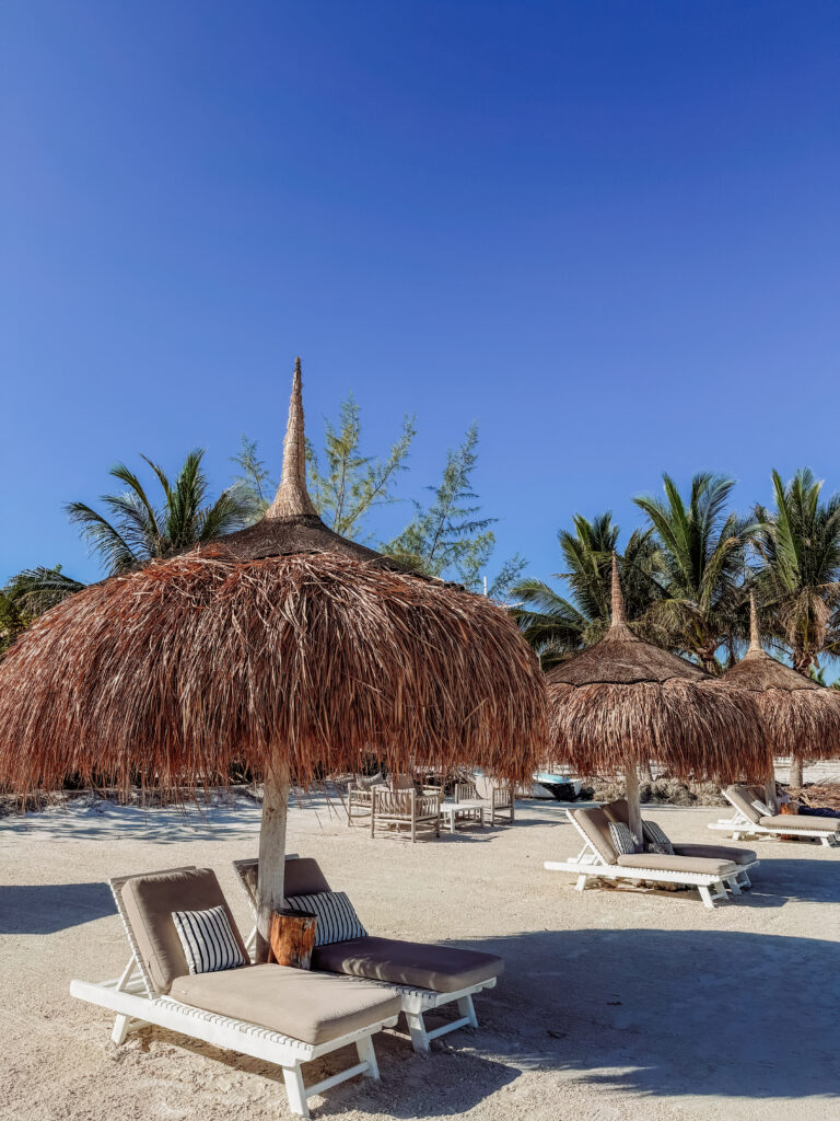 beach clubs on the beach Mexico