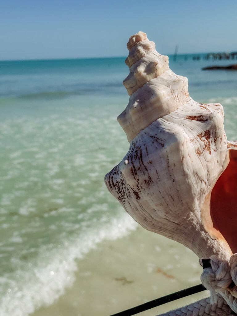 cute Isla Holbox Mexico