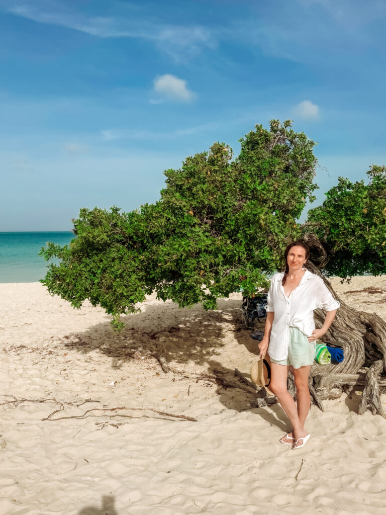 divi divi trees at Eagle Beach Aruba