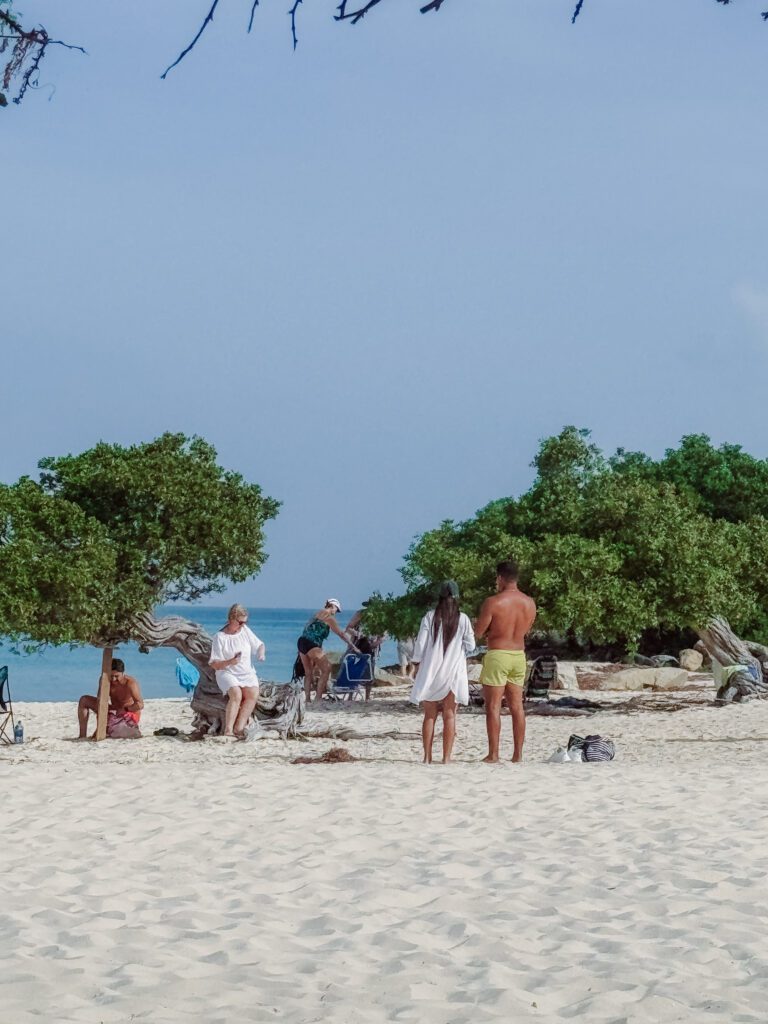 divi divi trees at Eagle Beach Aruba