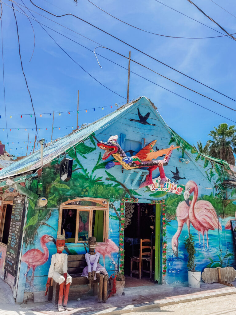 cool street art murals in Isla Holbox Mexico