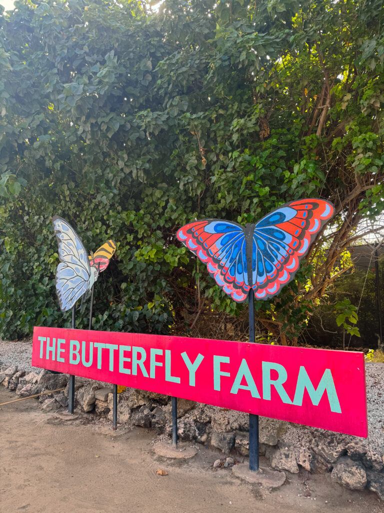 butterfly farm in Aruba