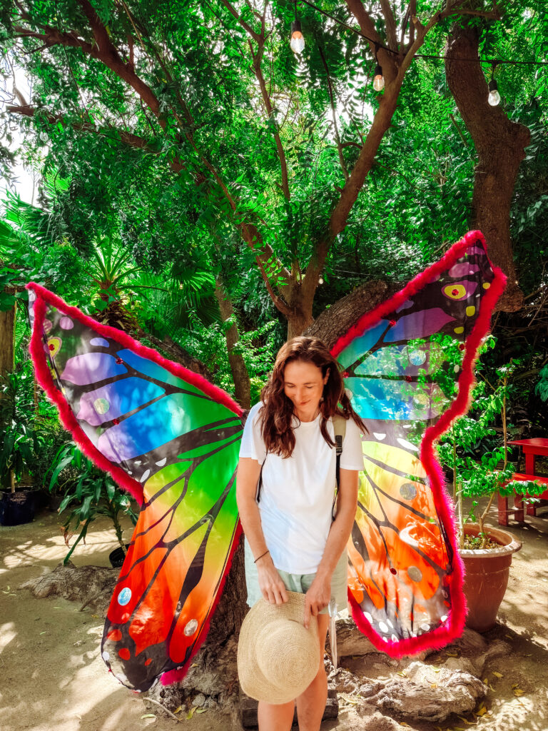 butterfly farm in Aruba