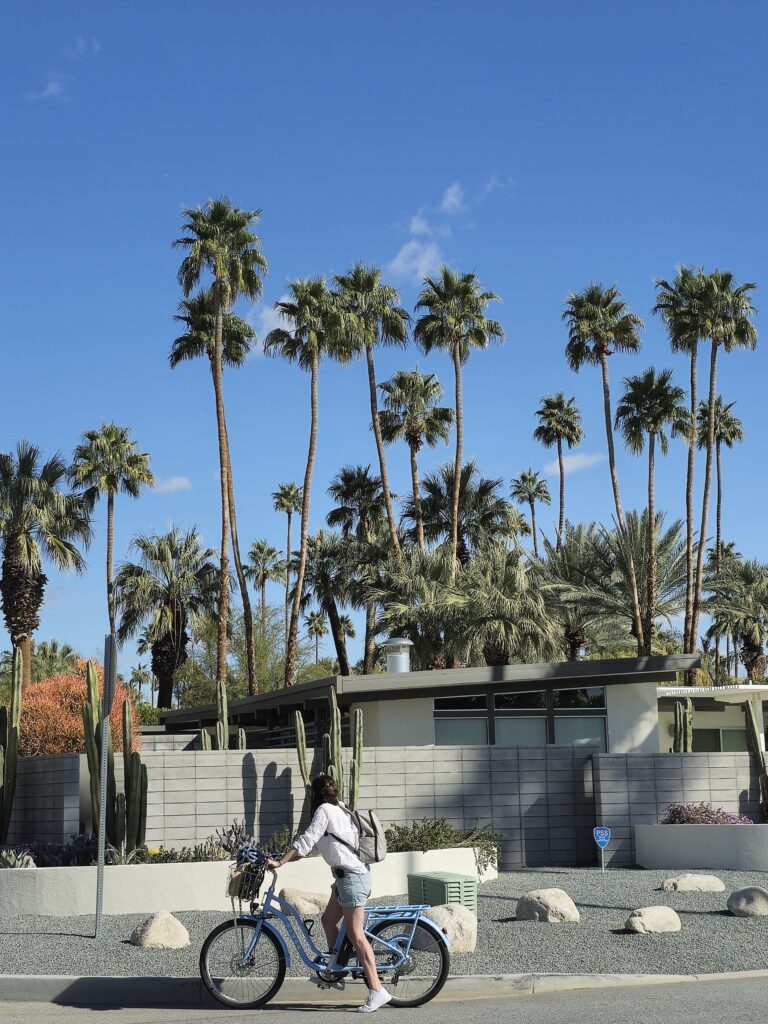 riding around Palm Springs on bikes is the best