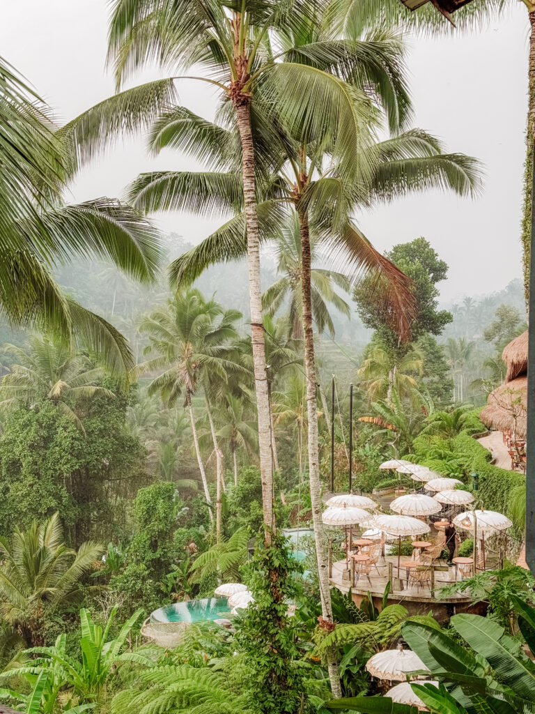 Tis Cafe Bali Rice Terraces Ubud