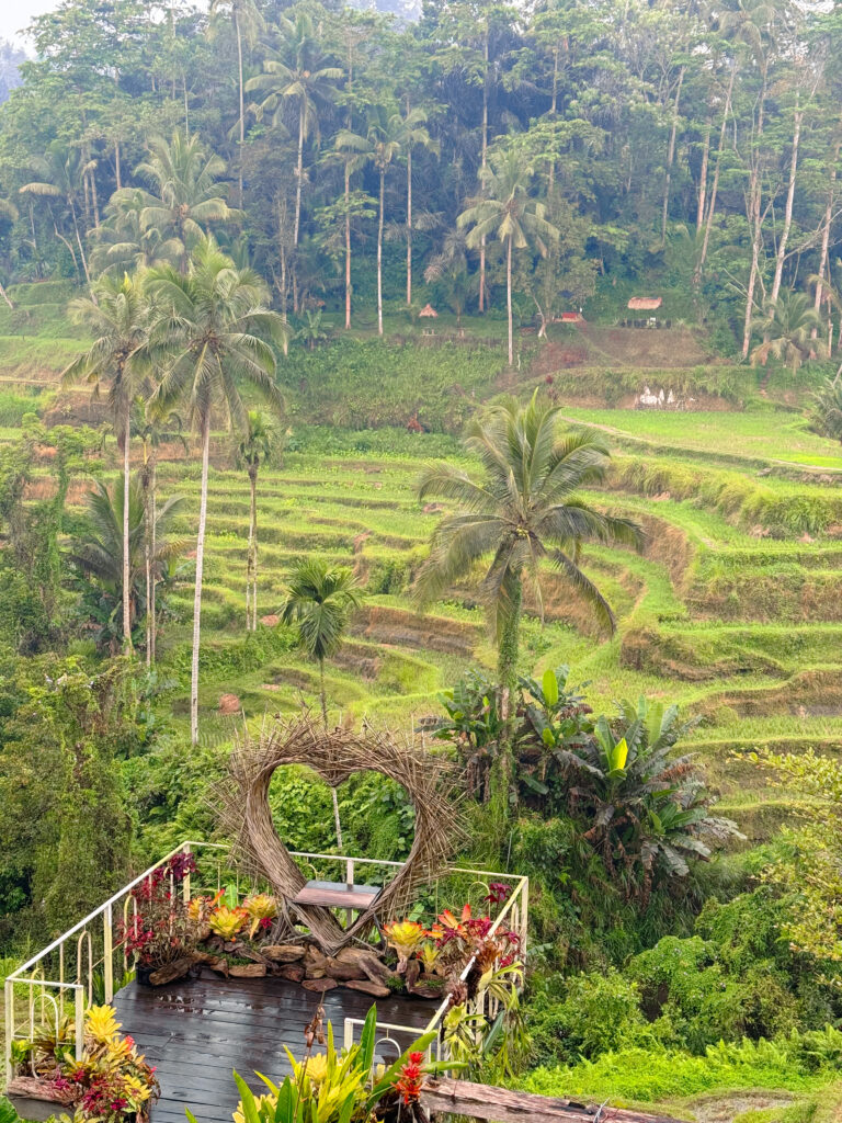 Bali Rice Terraces Ubud