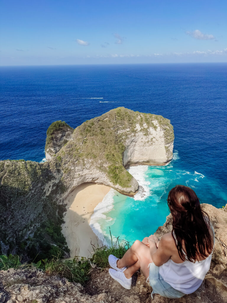 T rex Beach Nusa Penida