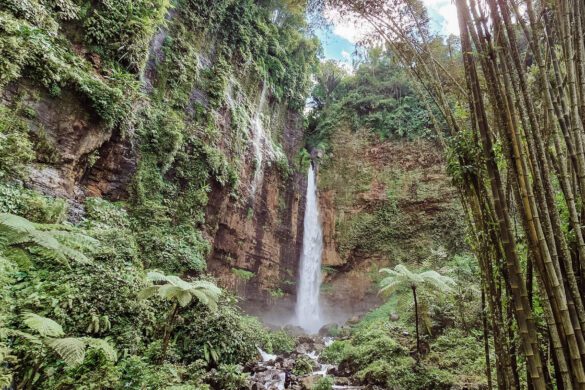 What to do in Malang