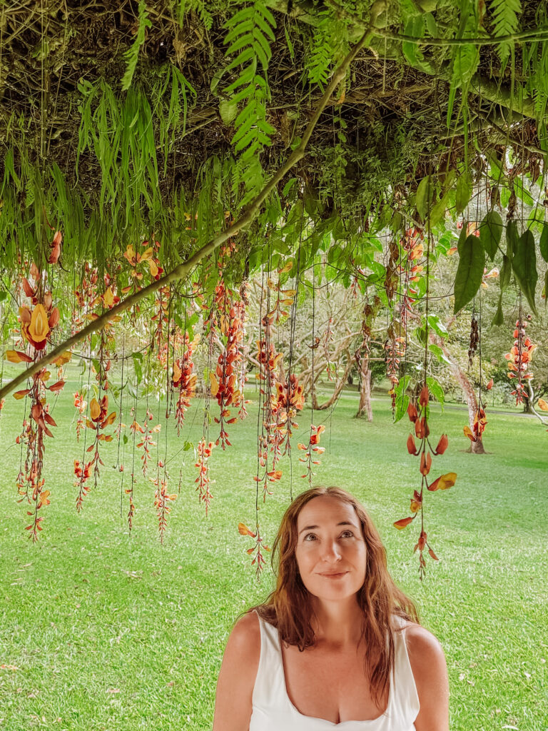 Bali Botanical Gardens Bedugul