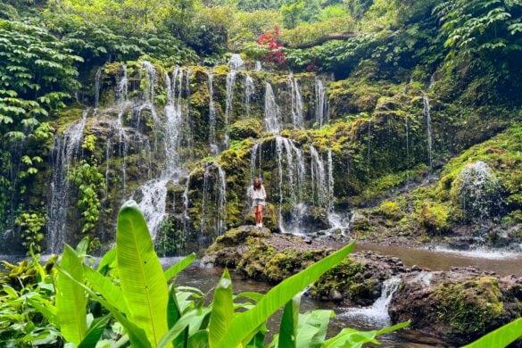 What to do in Bedugul, the best secret in Bali!