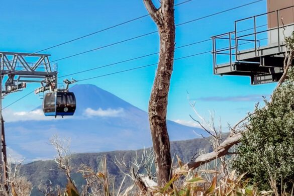 Things to do in Hakone Day Trip