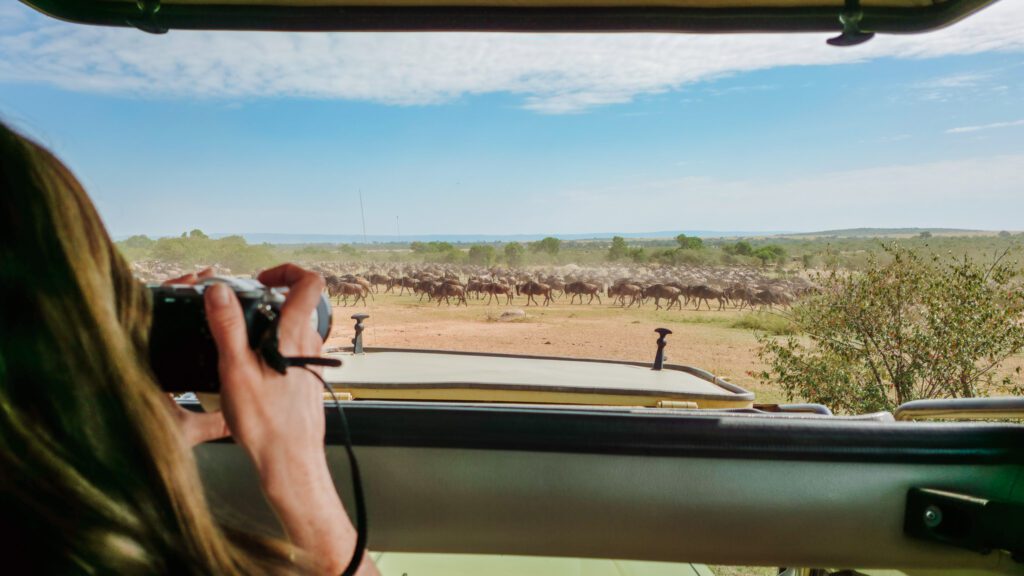 photographing the Serengeti animals from a distance!