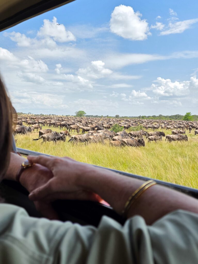 Looking out at the Great Migration Serenegti Safari