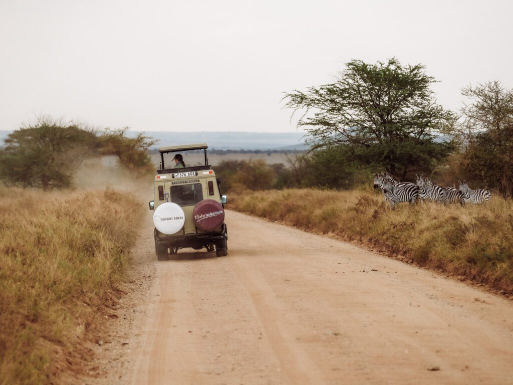 We had the best time with Safari Soles on safari in the Serengeti!