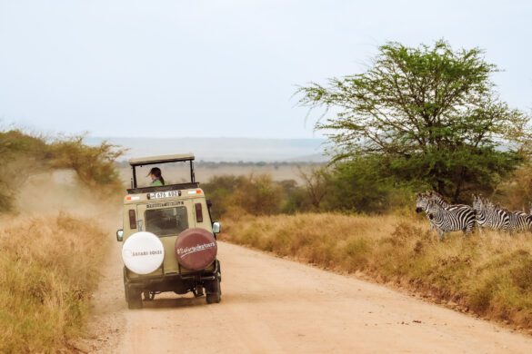 Best safari in Africa
