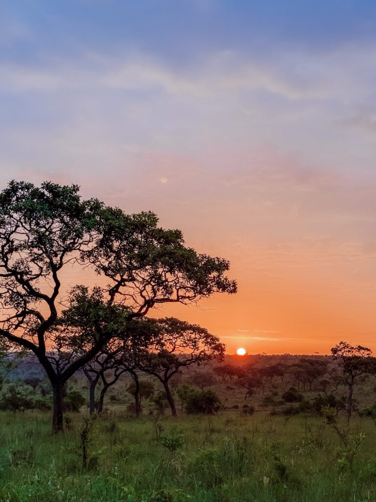 our sunrise view at breakfast in the Serengeti