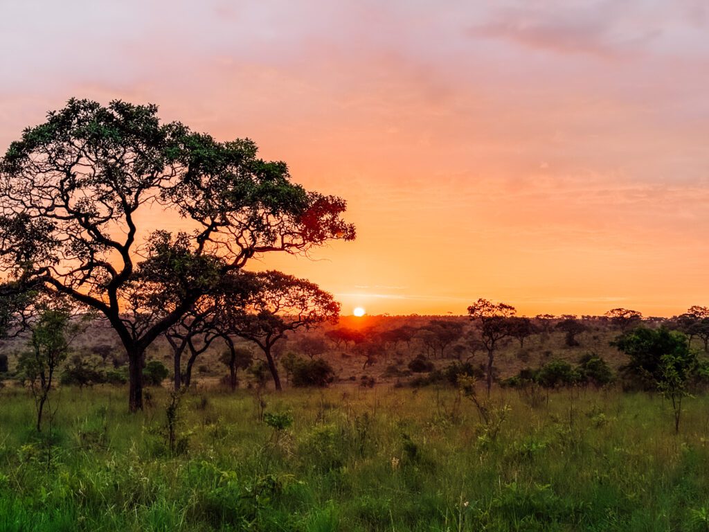 Sunrise in the Serengti at Safari Haven Migration Camp