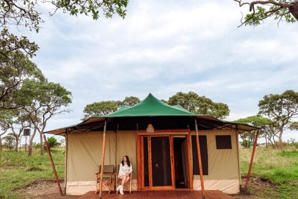 Best gluten free Serengeti safari