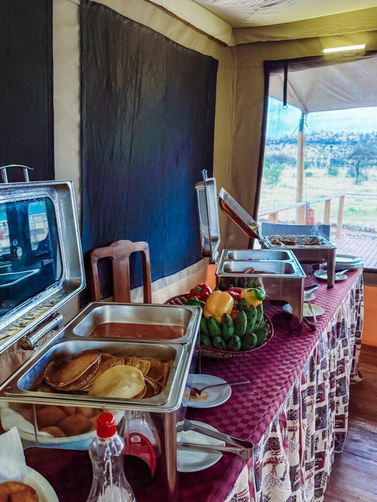 buffet breakfast on safari!