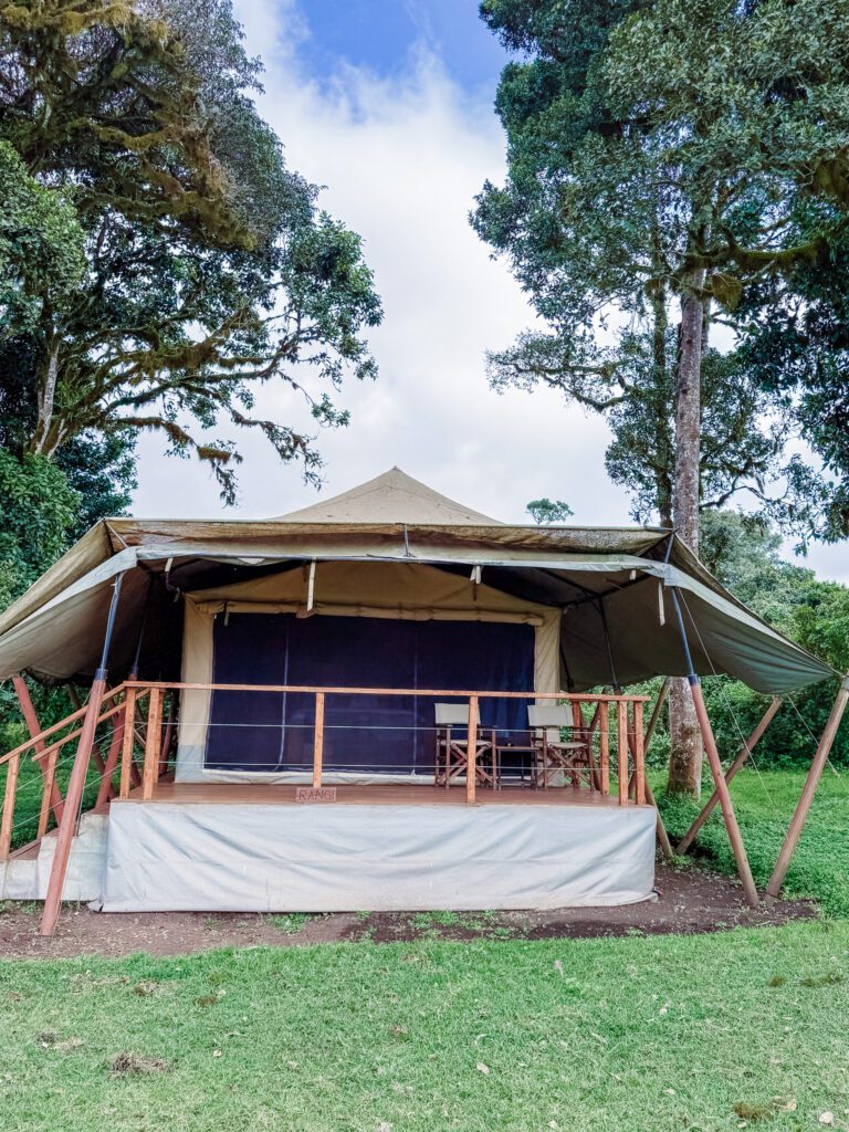 Angata Ngorongoro Camp on the best safari in Africa