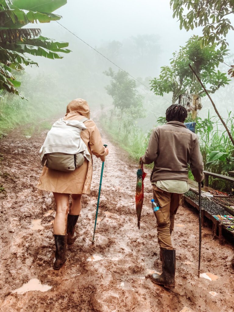 Hiking to the waterfall on the foothills of Mt Kilimanjaro