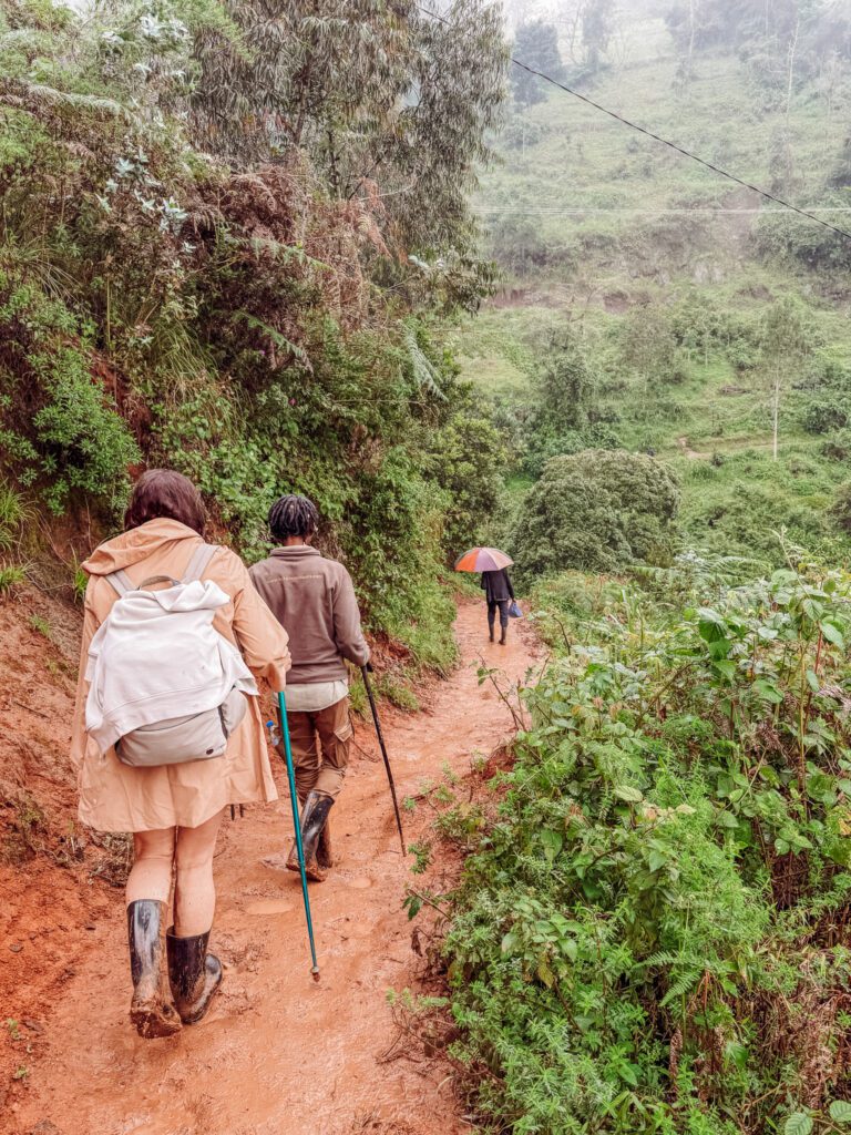 Hiking to the waterfall on the foothills of Mt Kilimanjaro